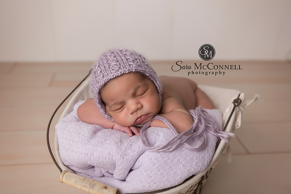 ottawa newborn photographer (2)