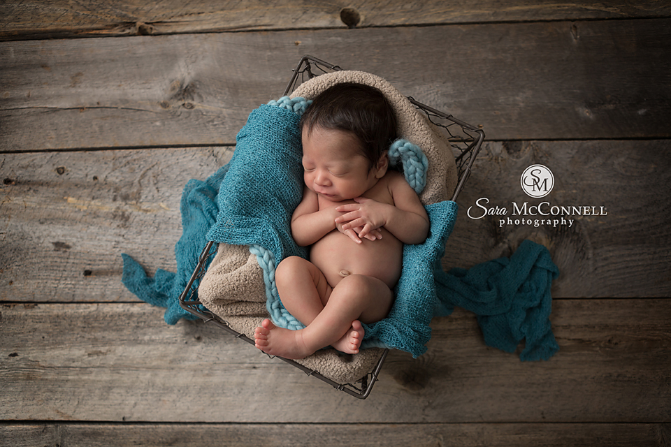 ottawa newborn photographer (6)