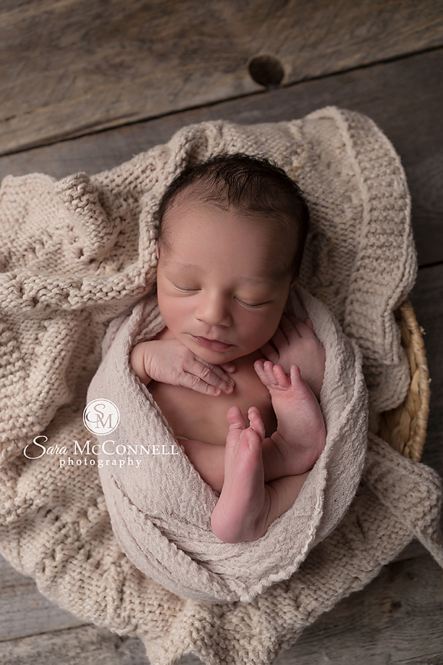 ottawa newborn photos (10)