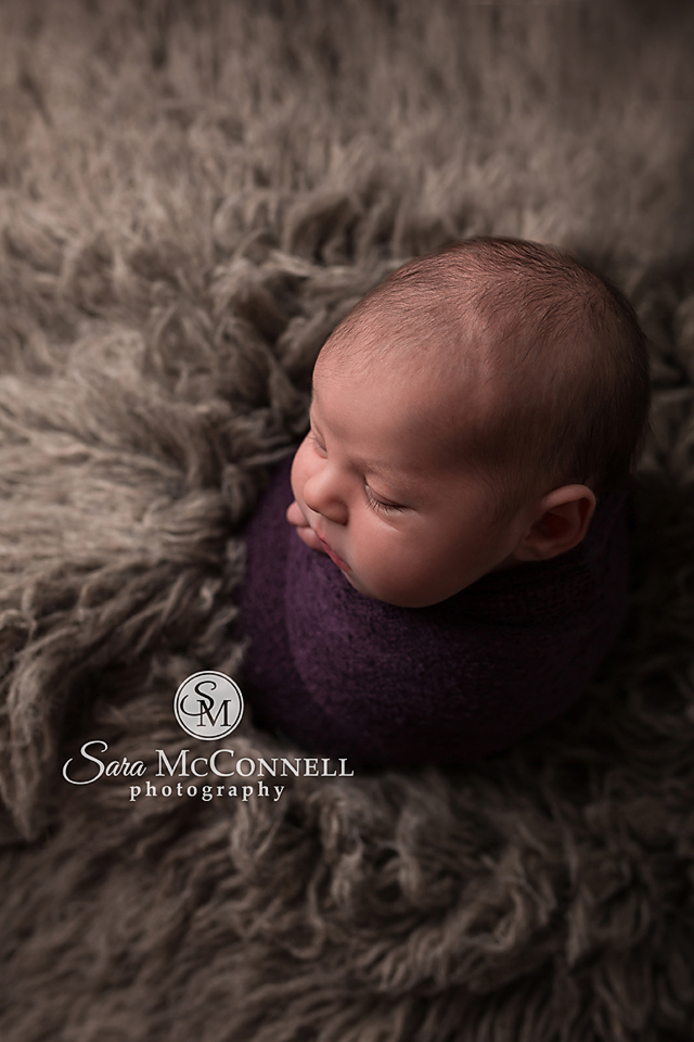 ottawa newborn photos (6)