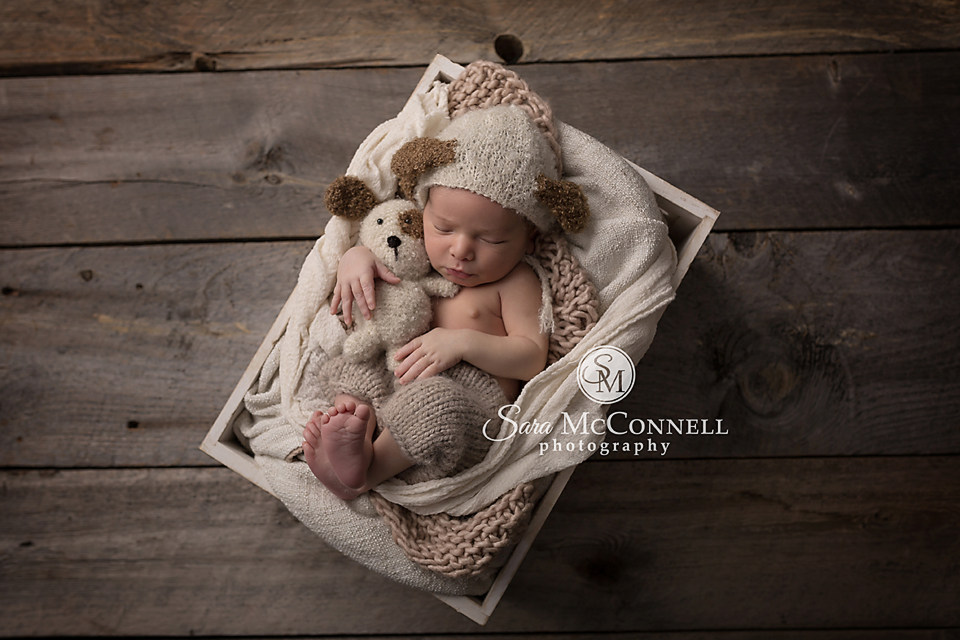 ottawa newborn photographer (4)