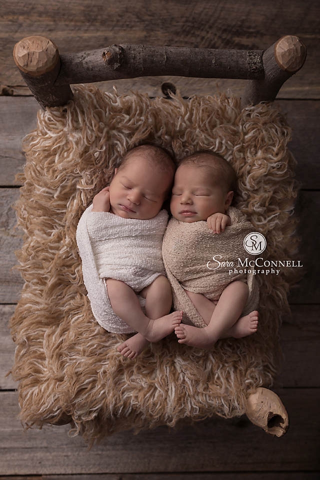 Ottawa newborn photos twins (4)