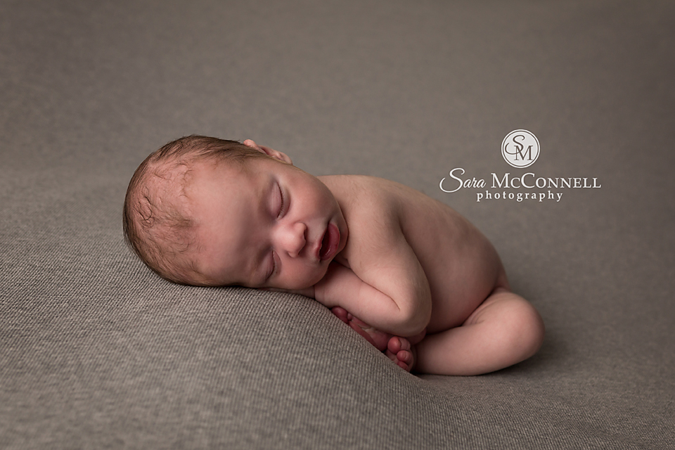 ottawa newborn photographer (1)