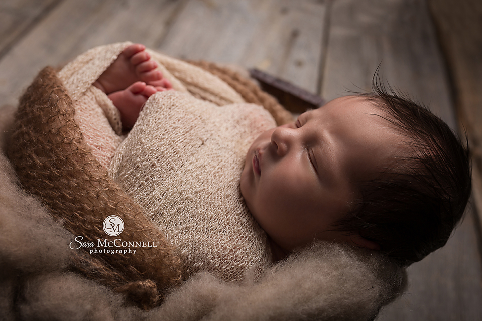 ottawa newborn photos family pictures (4)
