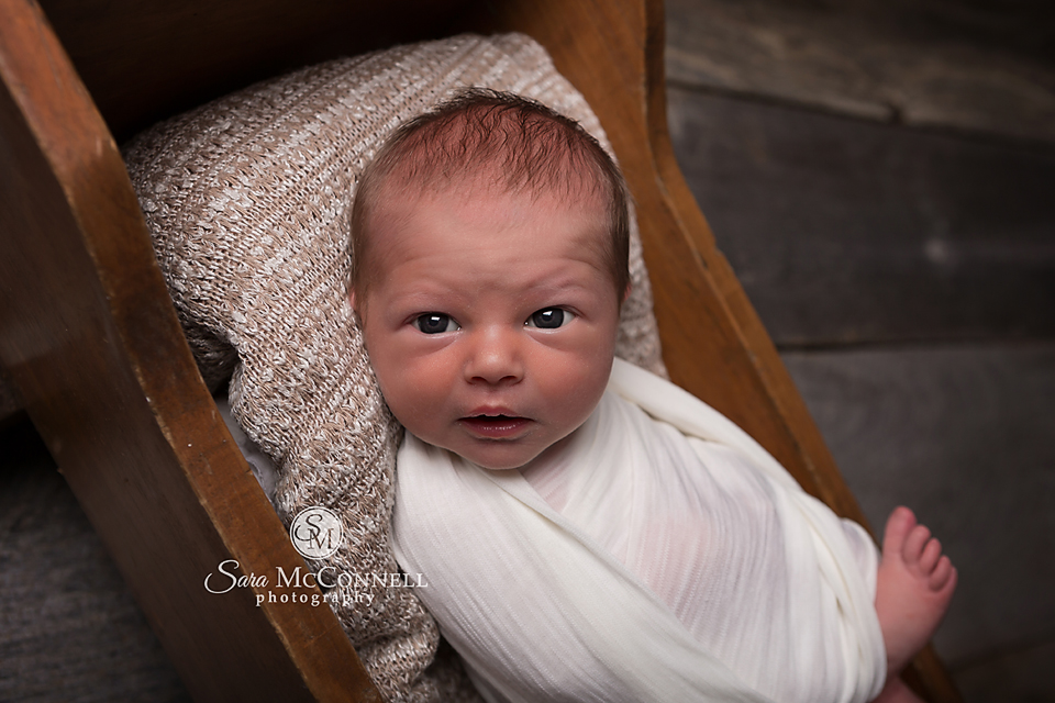 ottawa newborn photographer  (9)