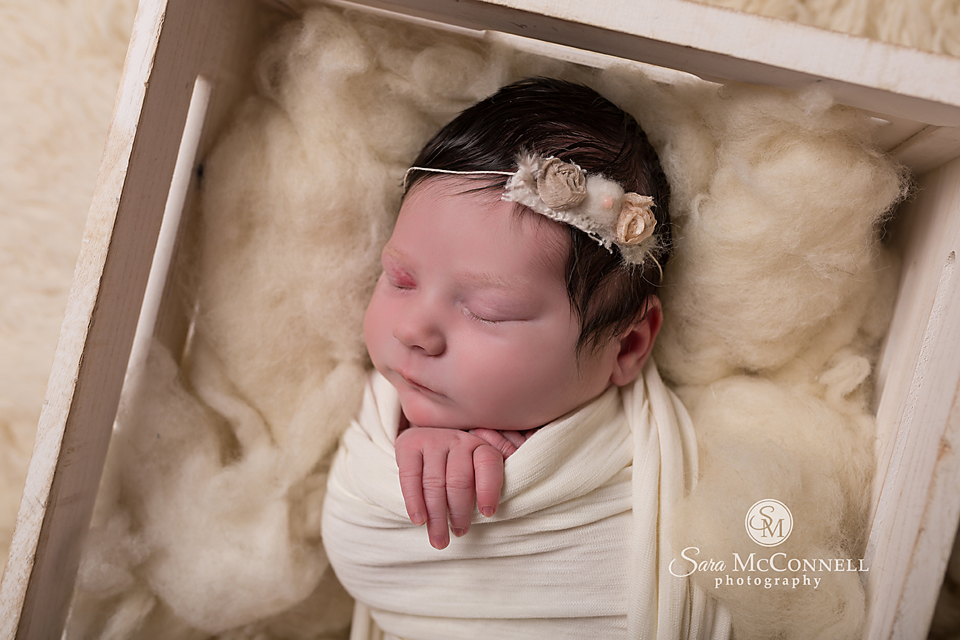 ottawa newborn photography  (6)