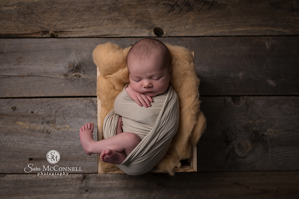 ottawa newborn photos (12)