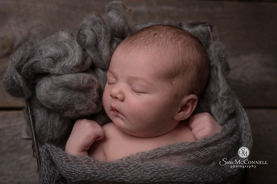 ottawa newborn photos (14)