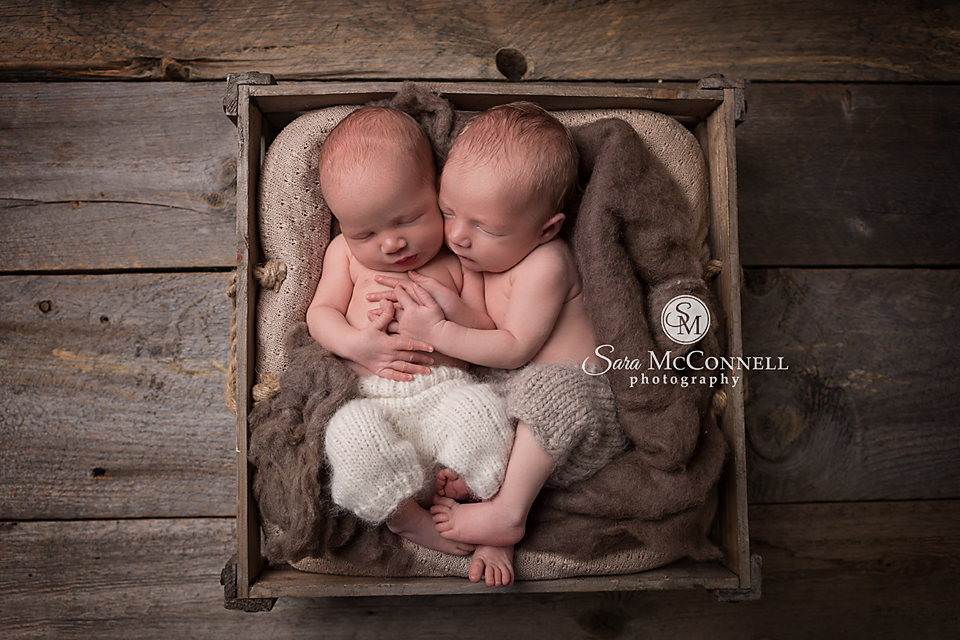 ottawa newborn photographer (10)