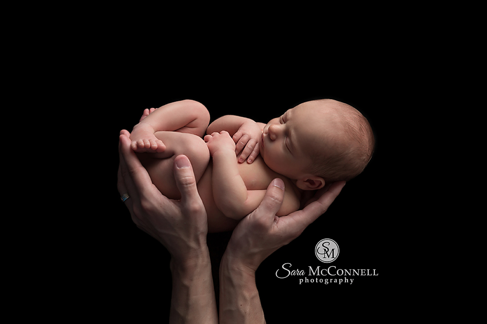 ottawa newborn photographer (8)