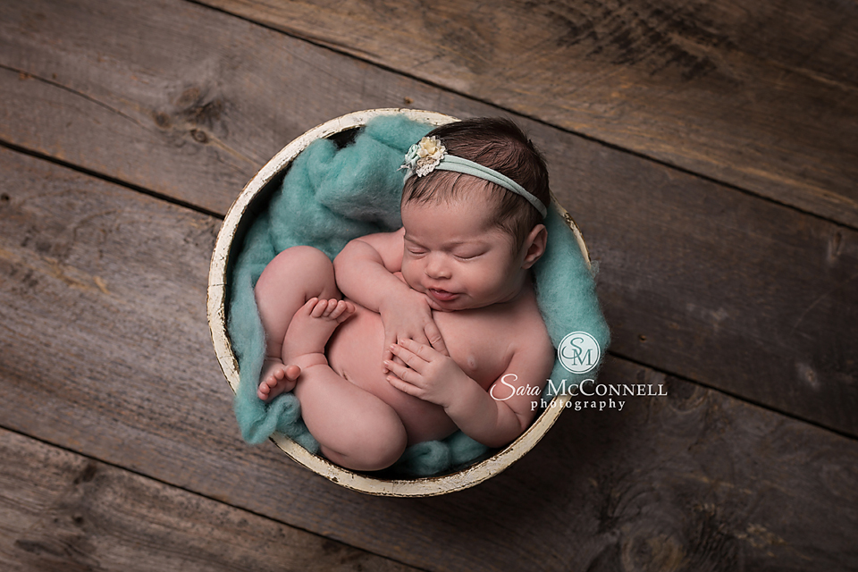 ottawa newborn photographer (9)