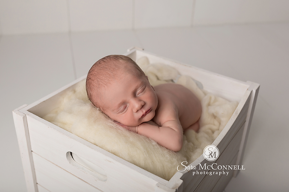 ottawa newborn photography (8)