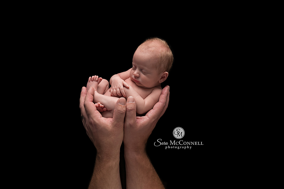 ottawa newborn photographer (6)