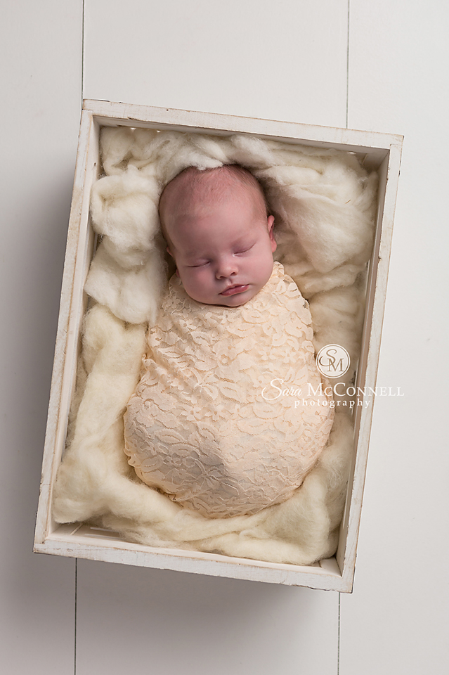 ottawa newborn photographer (7)