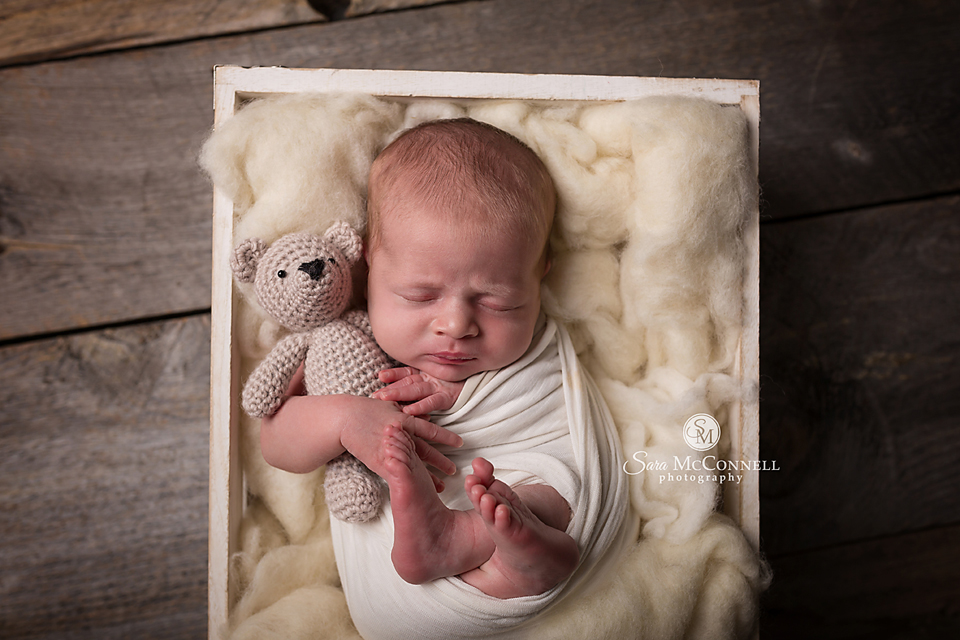 ottawa newborn photographer (8)