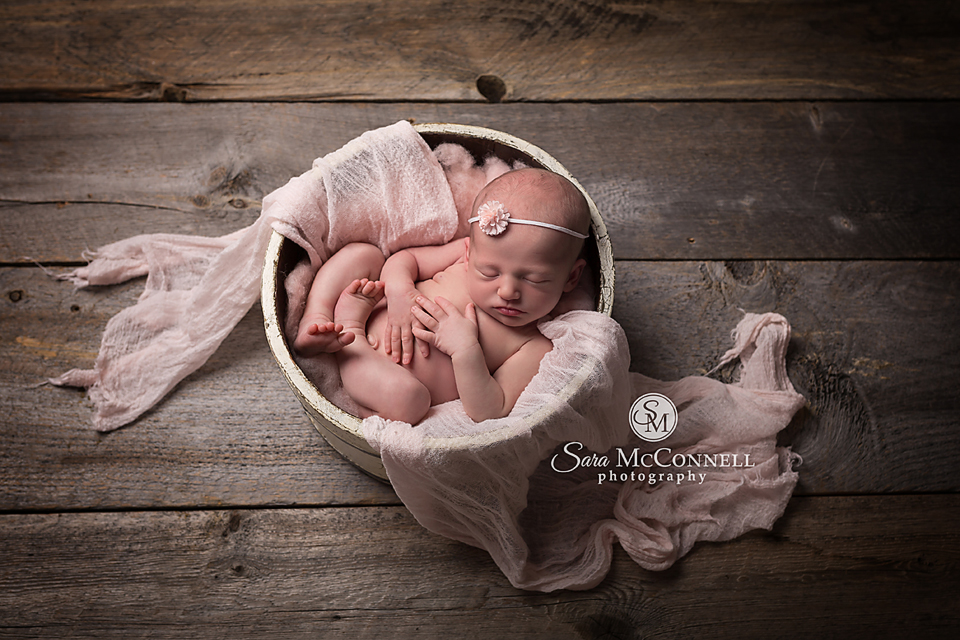 ottawa newborn photos (8)