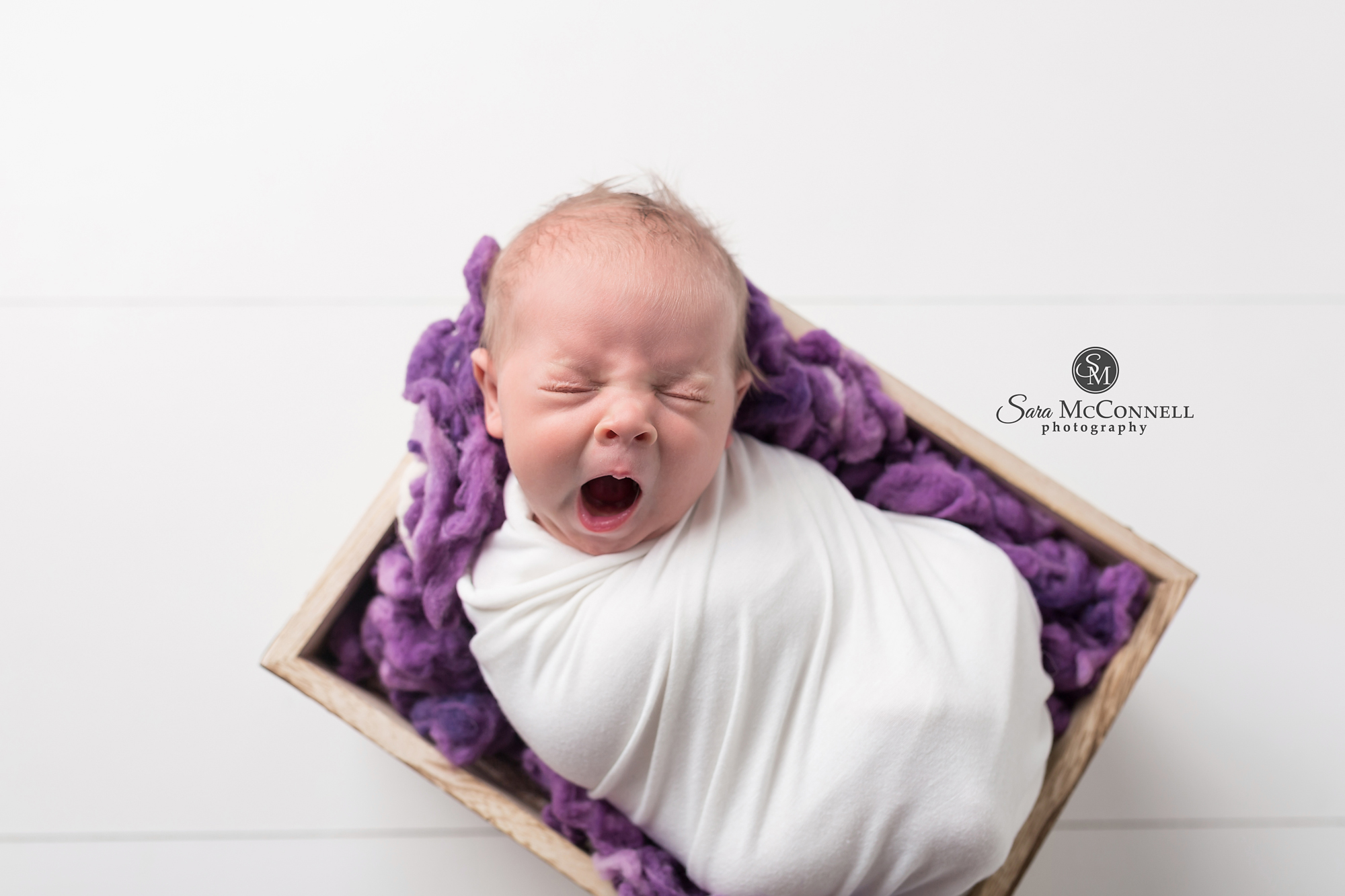 Ottawa Newborn Photos | Complete