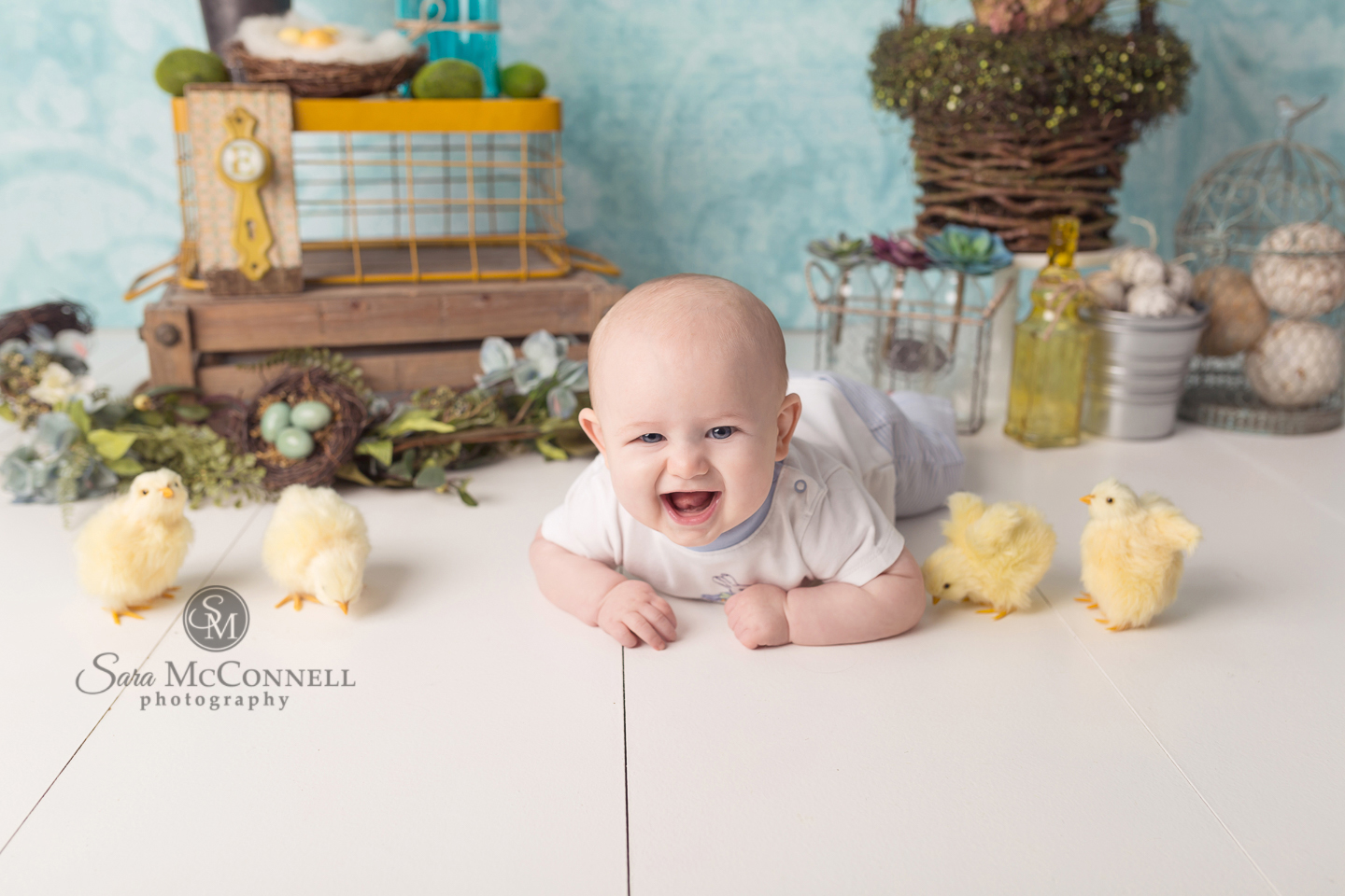 Why my Easter Sessions don't include live bunnies, chicks or ducks | Ottawa Family Photographer