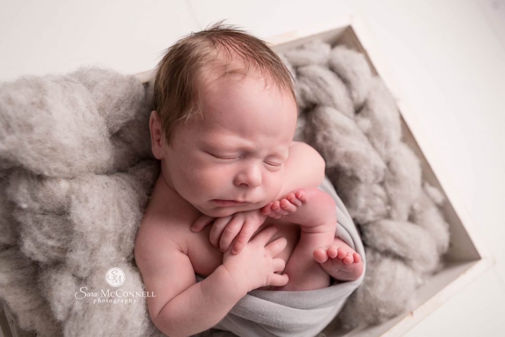 newborn-photographer-in-ottawa