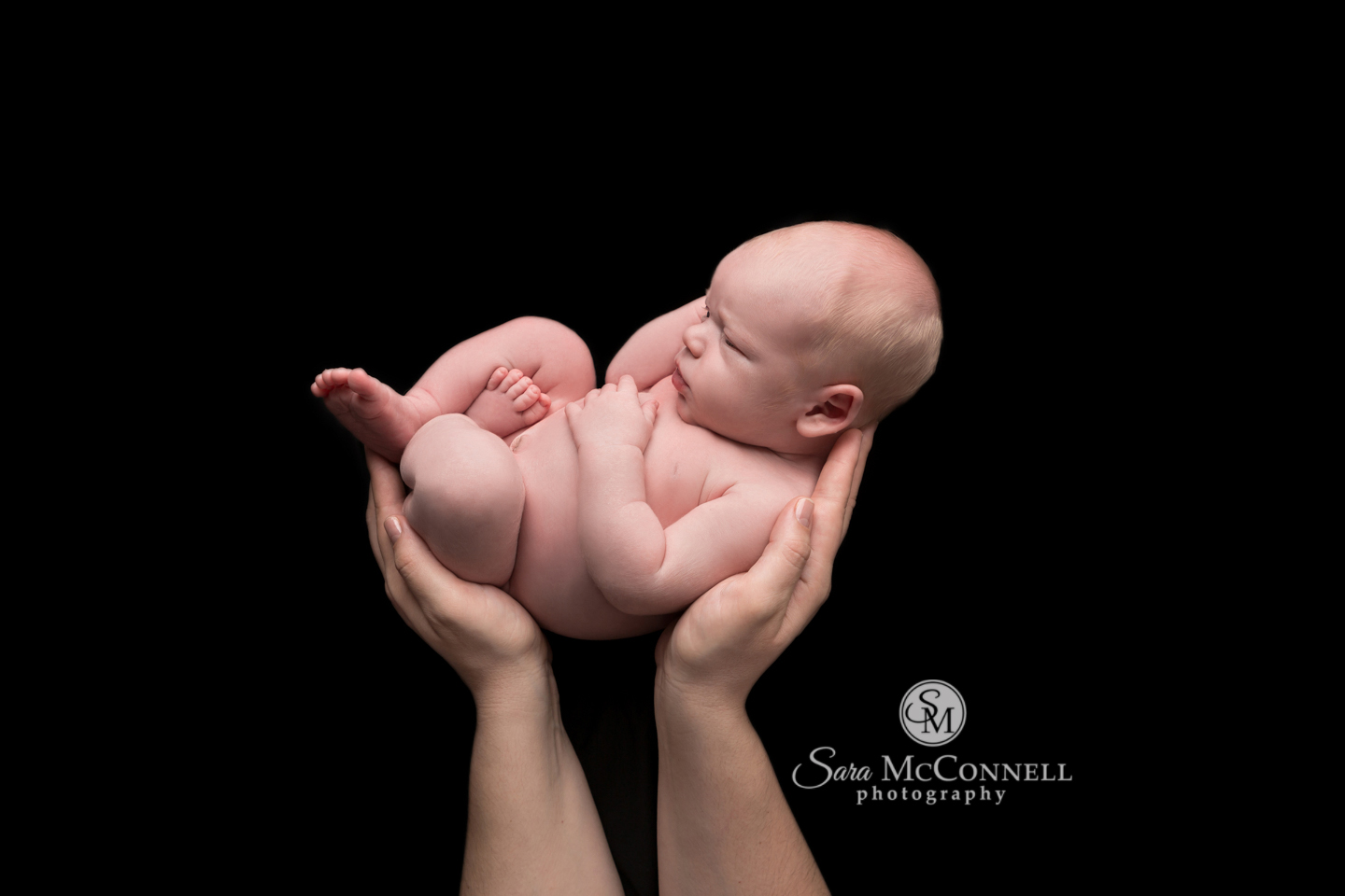 Ottawa Newborn Photographer | Pictures together