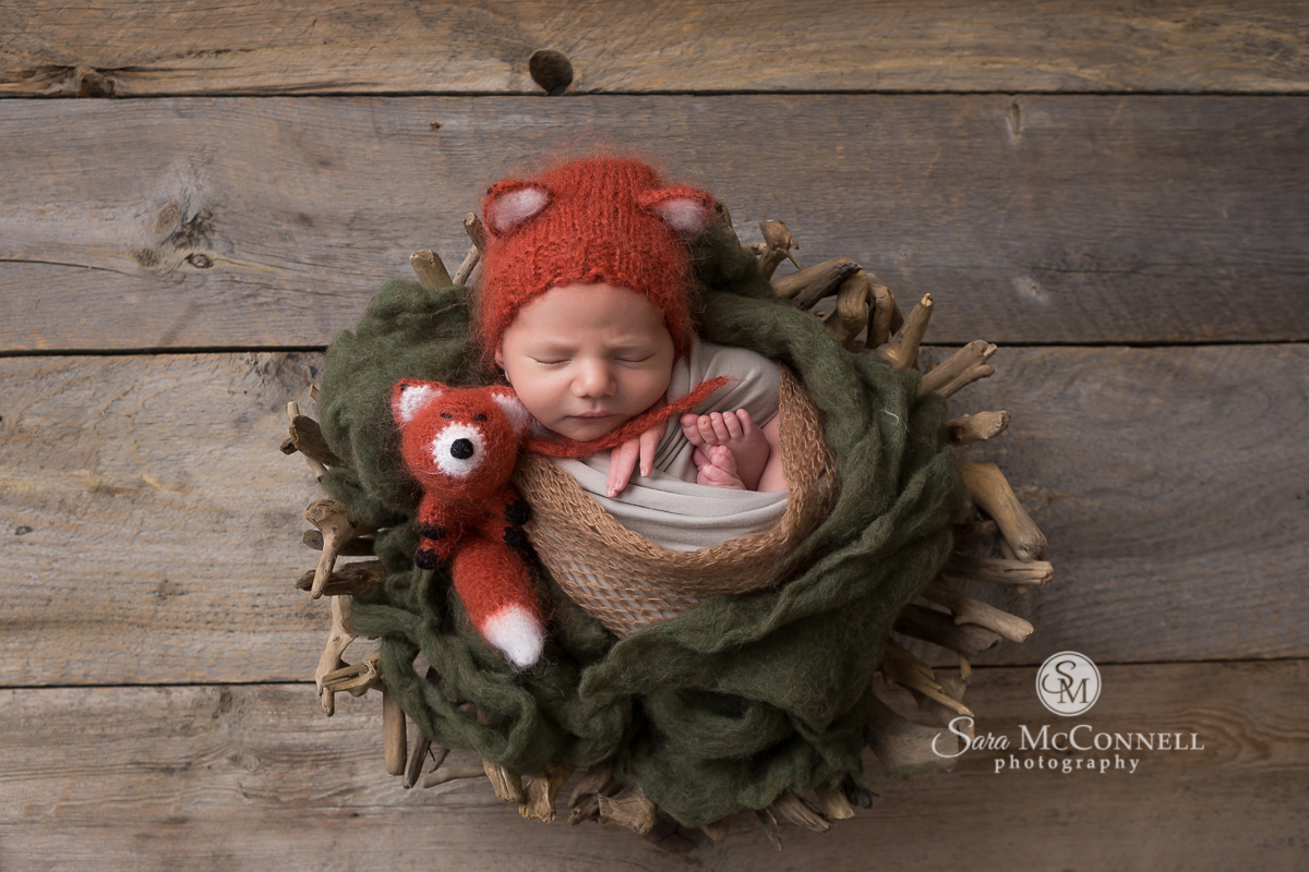 Ottawa Newborn Photographer | Nestled Fox