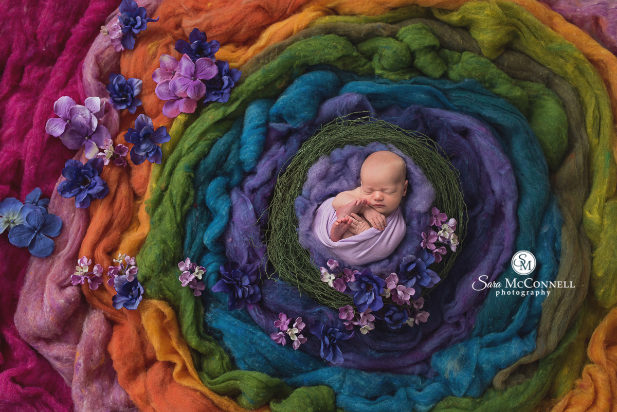 Ottawa Newborn Photography | Colours