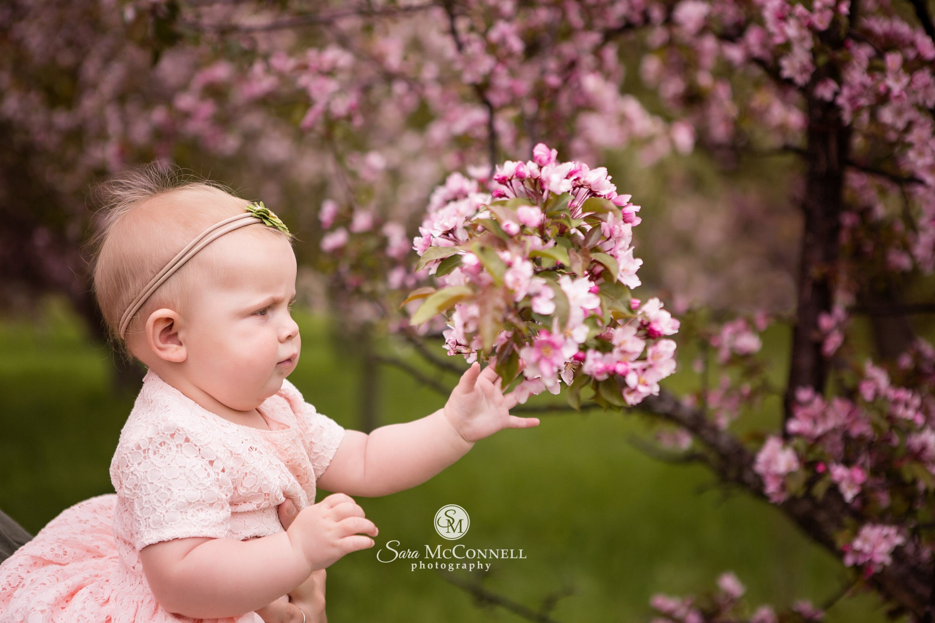 Spring Photos in Ottawa: Blossom Sessions