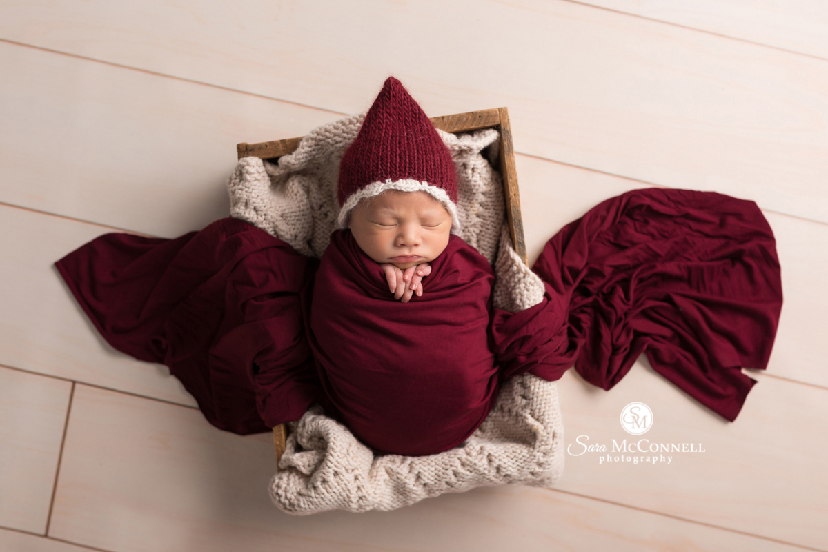 Ottawa Newborn Photographer | Together