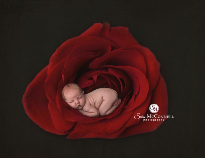 Inspiration | Ottawa Newborn Photographer