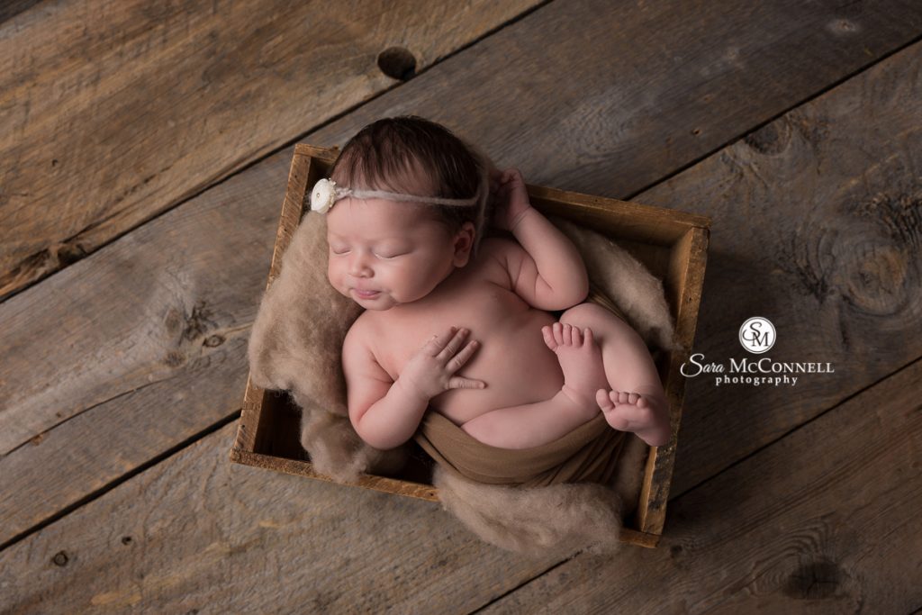 ottawa newborn photos