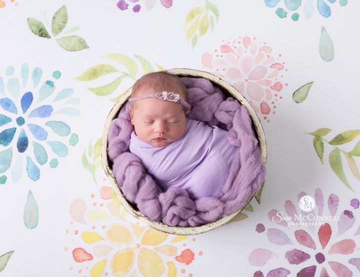 Ottawa Newborn Photography | A family of four