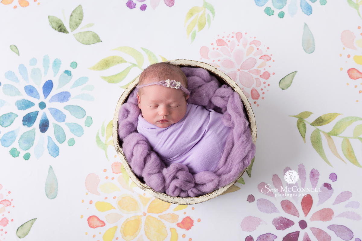 Ottawa Newborn Photography | A family of four