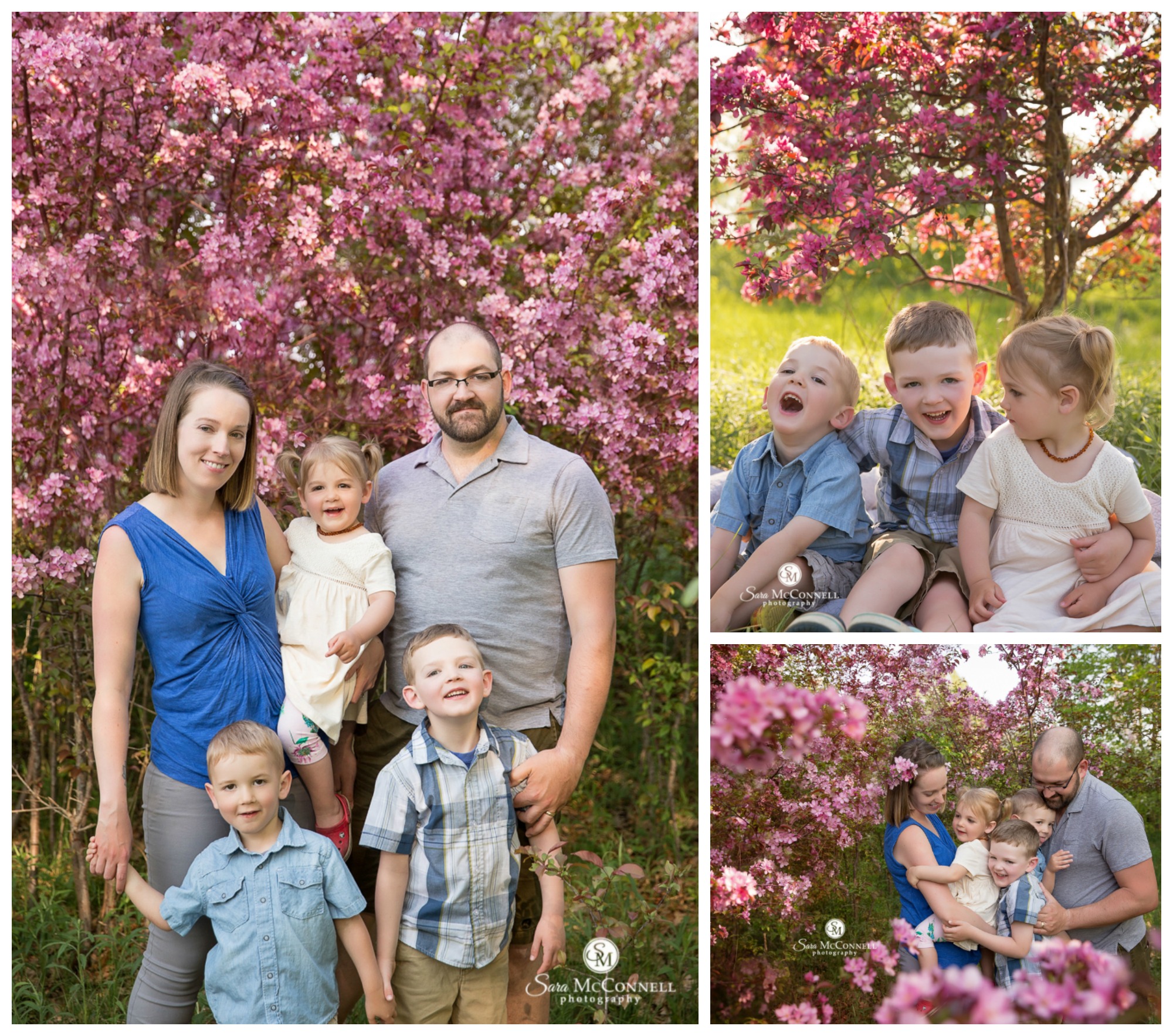Ottawa Spring Blossom Photo Sessions by Sara McConnell Photography