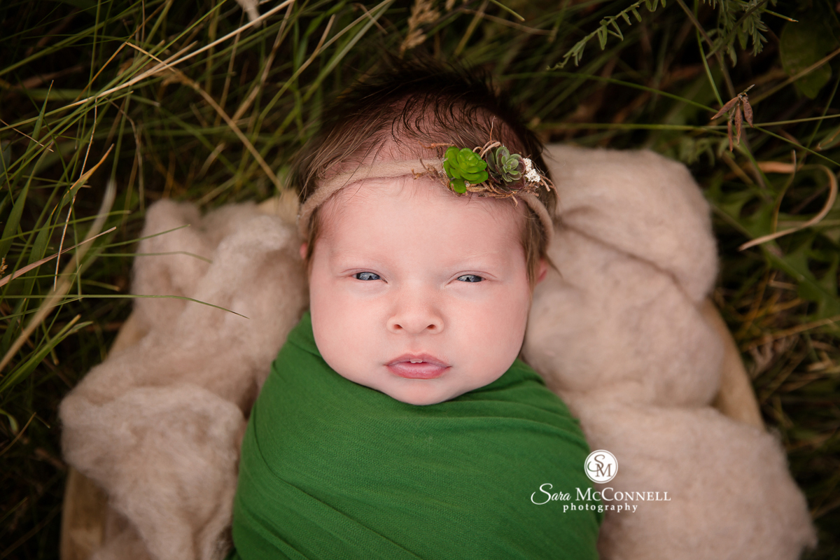 Ottawa newborn photographer Sara McConnell Photography featuring outdoor photos