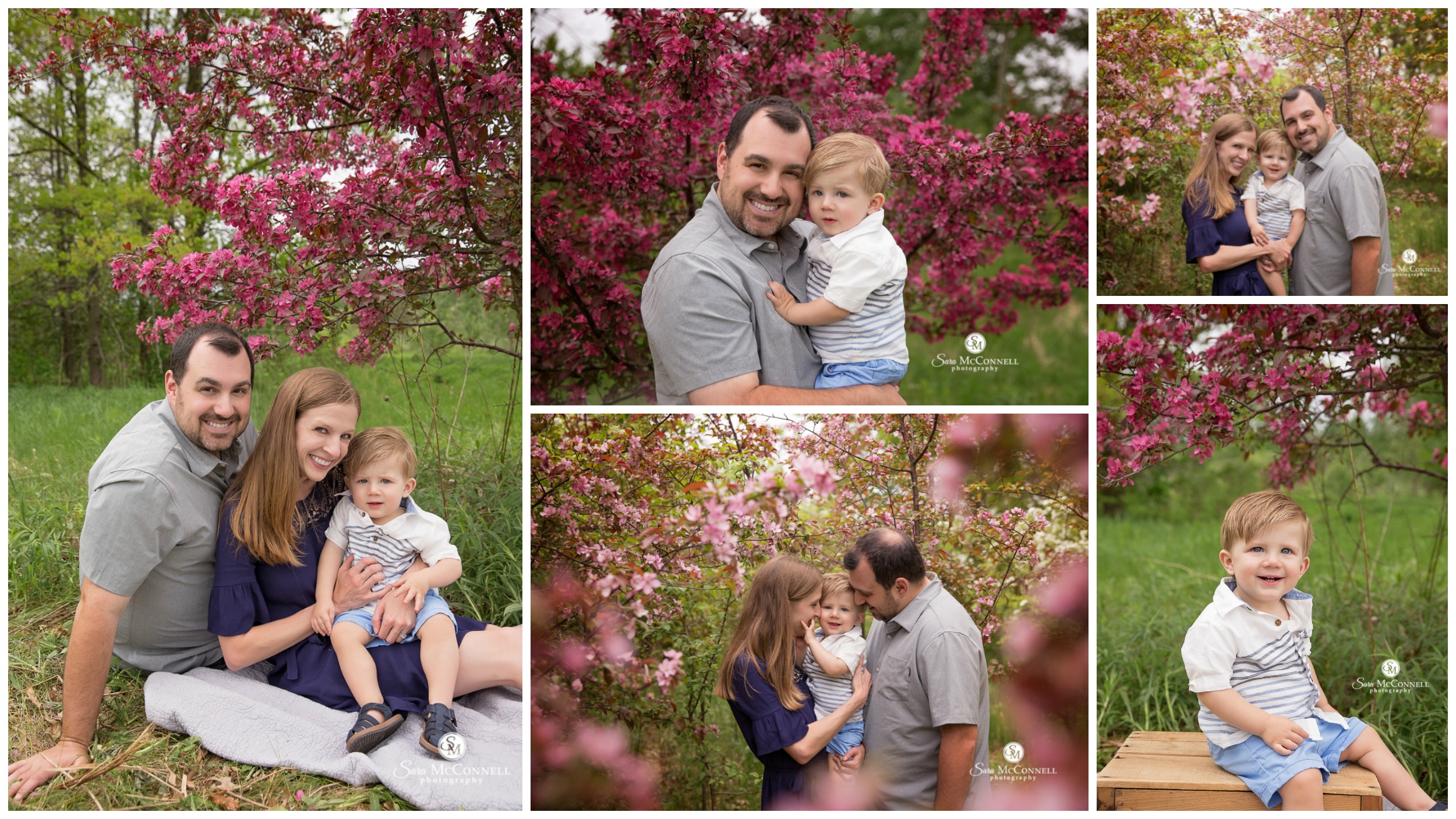 Ottawa Spring Blossom Photo Sessions by Sara McConnell Photography