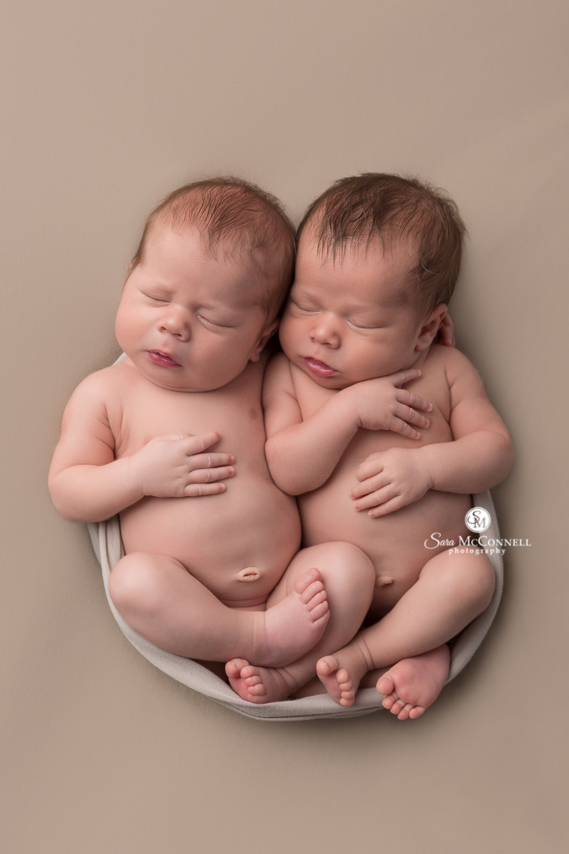 Ottawa newborn twins photo
