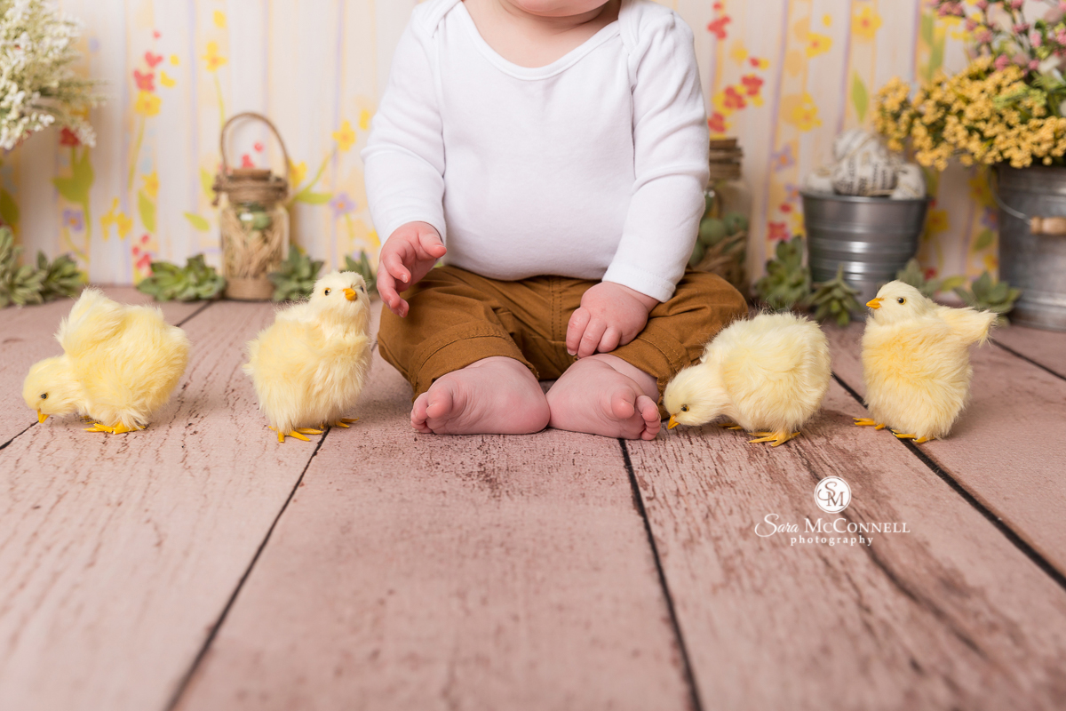 Photographing Springtime Babies in the Studio