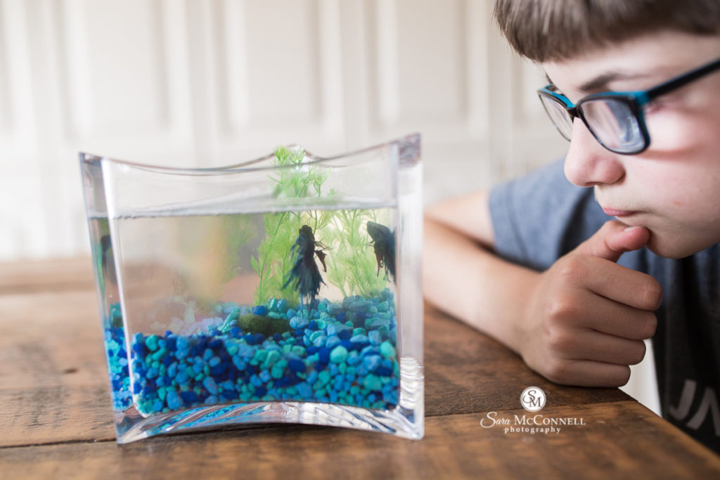 boy looking at fish in a fish bowl with blue stones