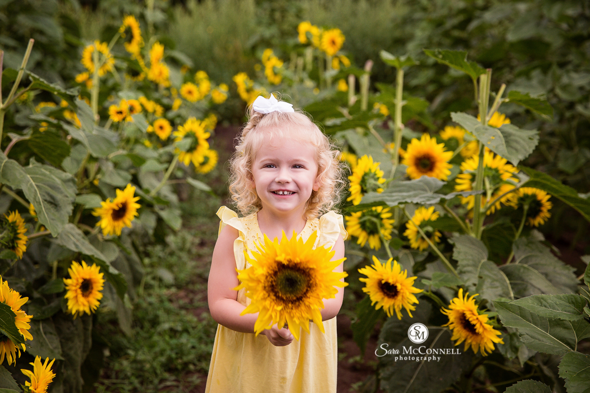 Sunflower Photo Sessions