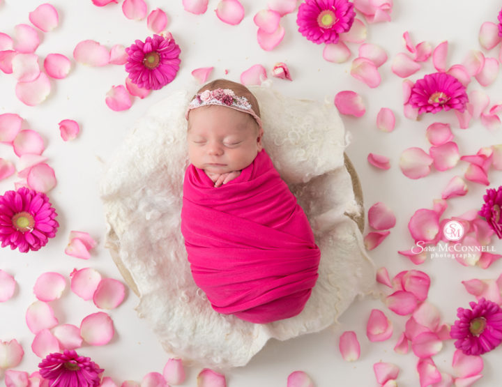 Beautiful Flowers | Ottawa Newborn Photographer