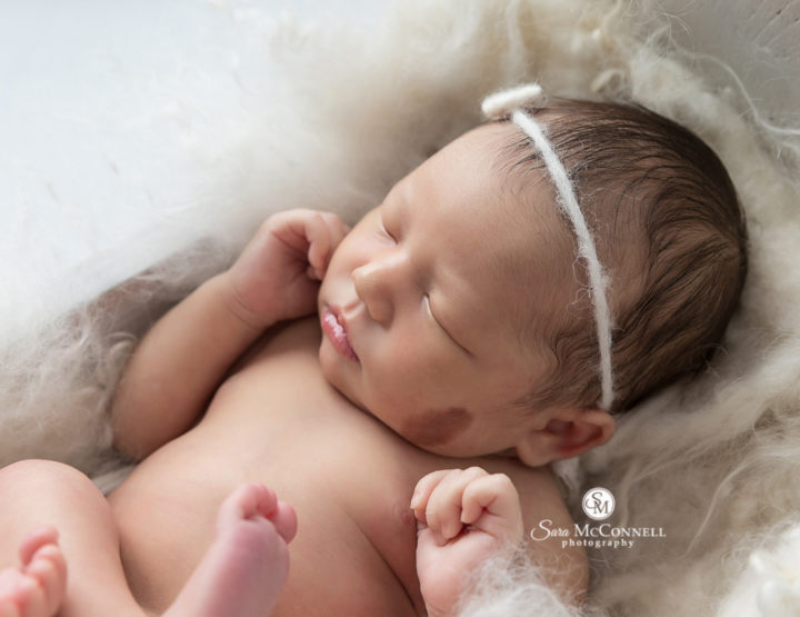 All Snuggled Up | Ottawa Newborn Photography
