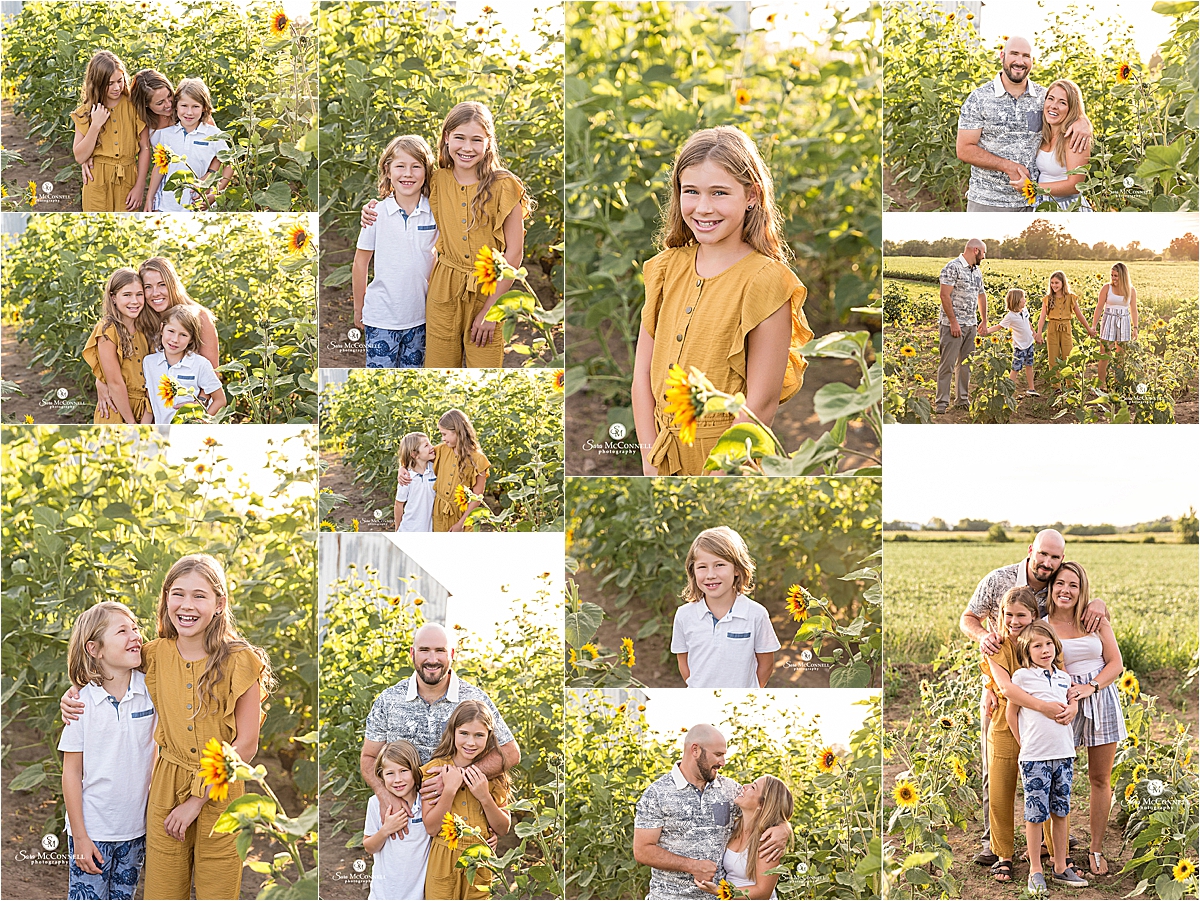 Family Photos in a Sunflower Field | Ottawa Photographer