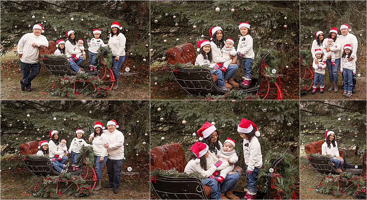 Christmas Photos With A Sleigh | Ottawa Photographer