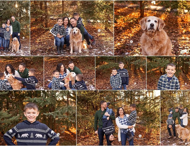 Family Photo Sessions with Evergreens