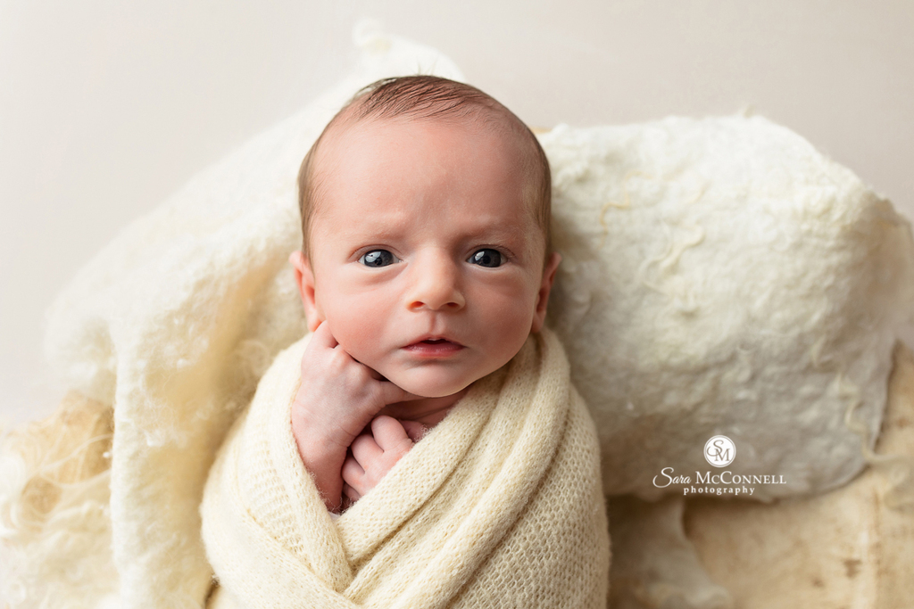 Newborn photography in Ottawa | Sibling photos